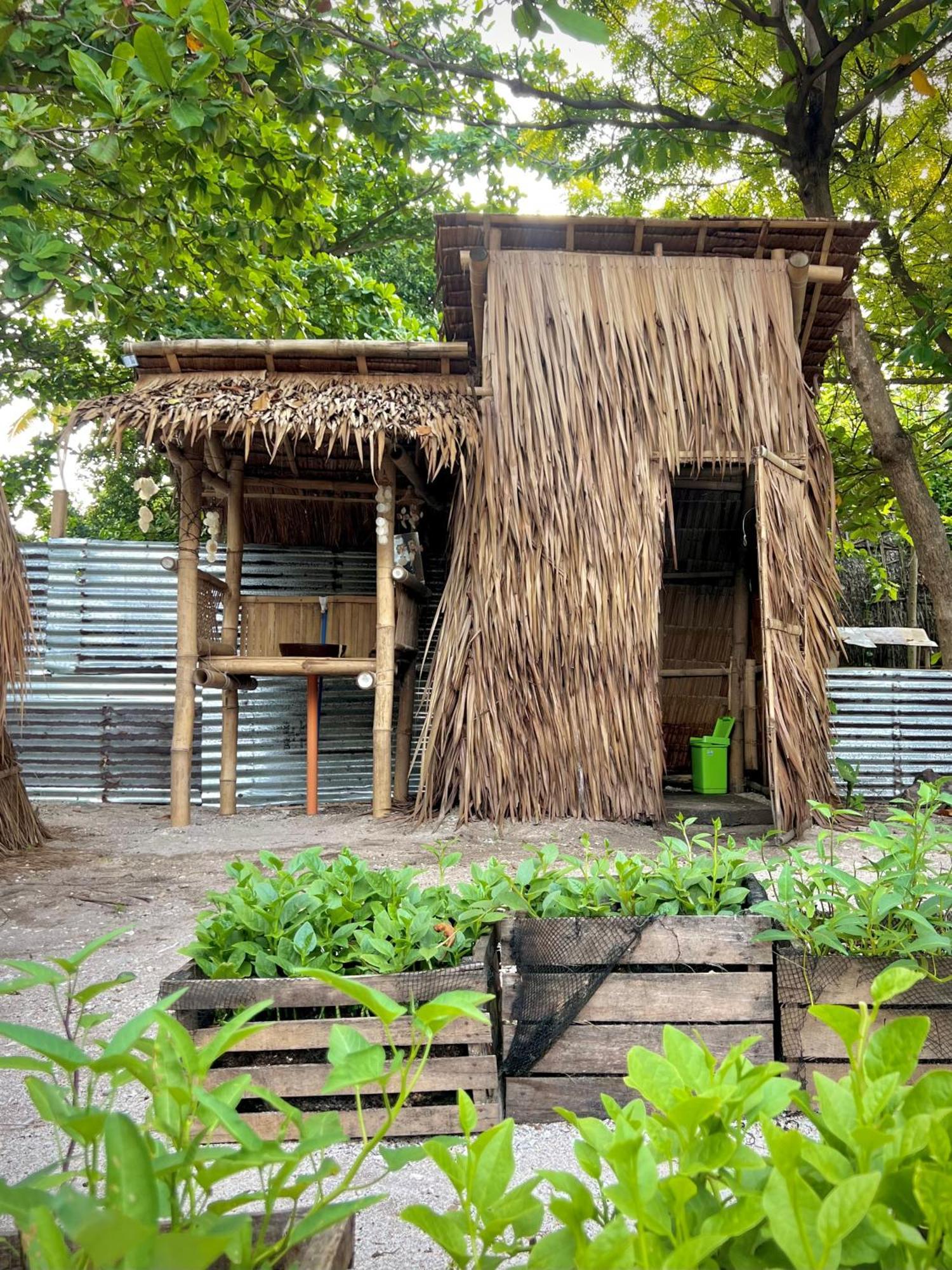 Tribal Huts Community Vandrarhem Daanbantayan Rum bild