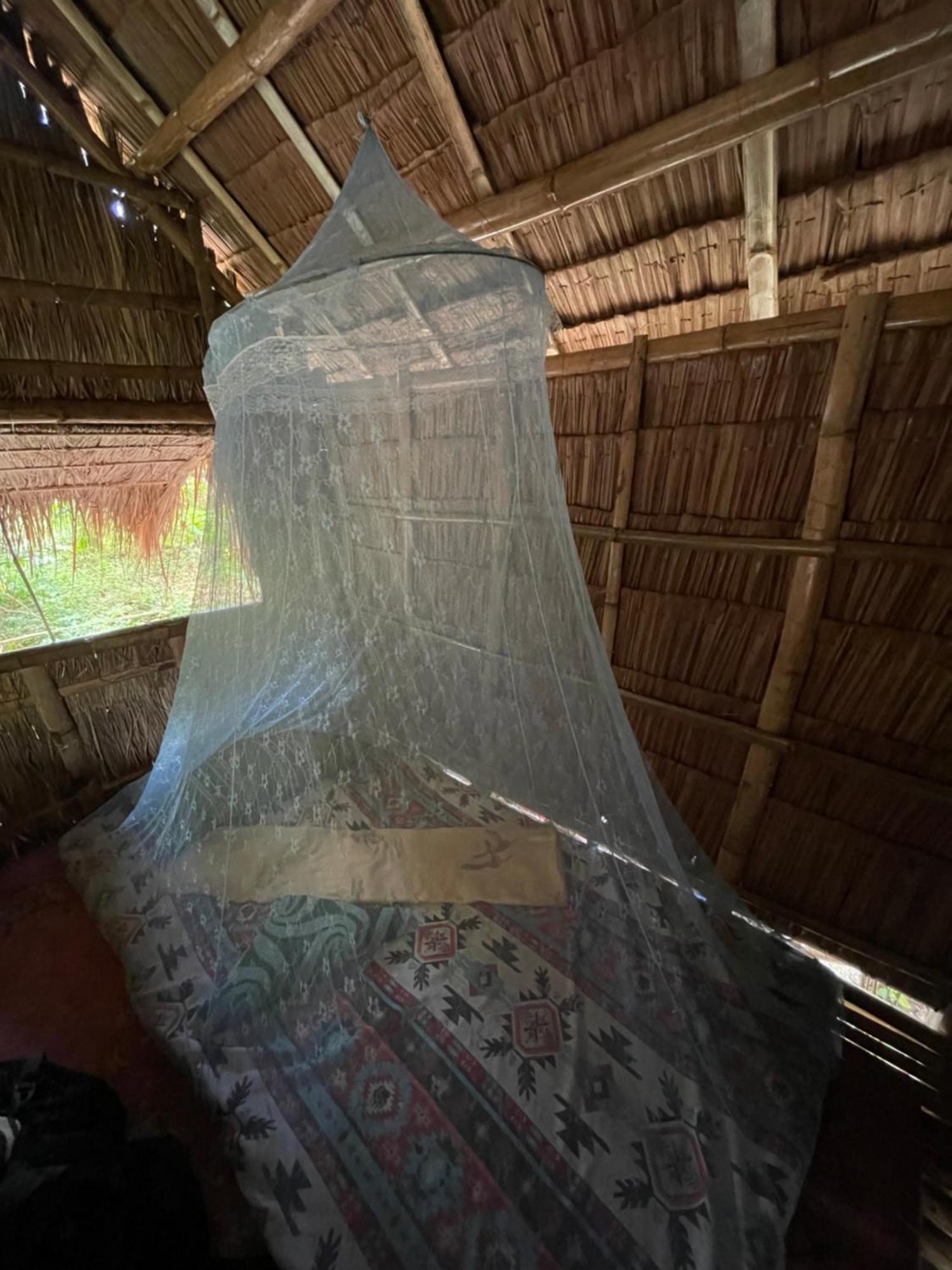 Tribal Huts Community Vandrarhem Daanbantayan Rum bild